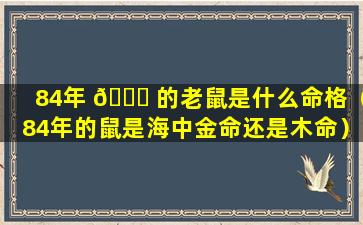 84年 🍀 的老鼠是什么命格（84年的鼠是海中金命还是木命）